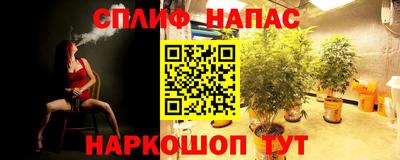 спайс Балахна