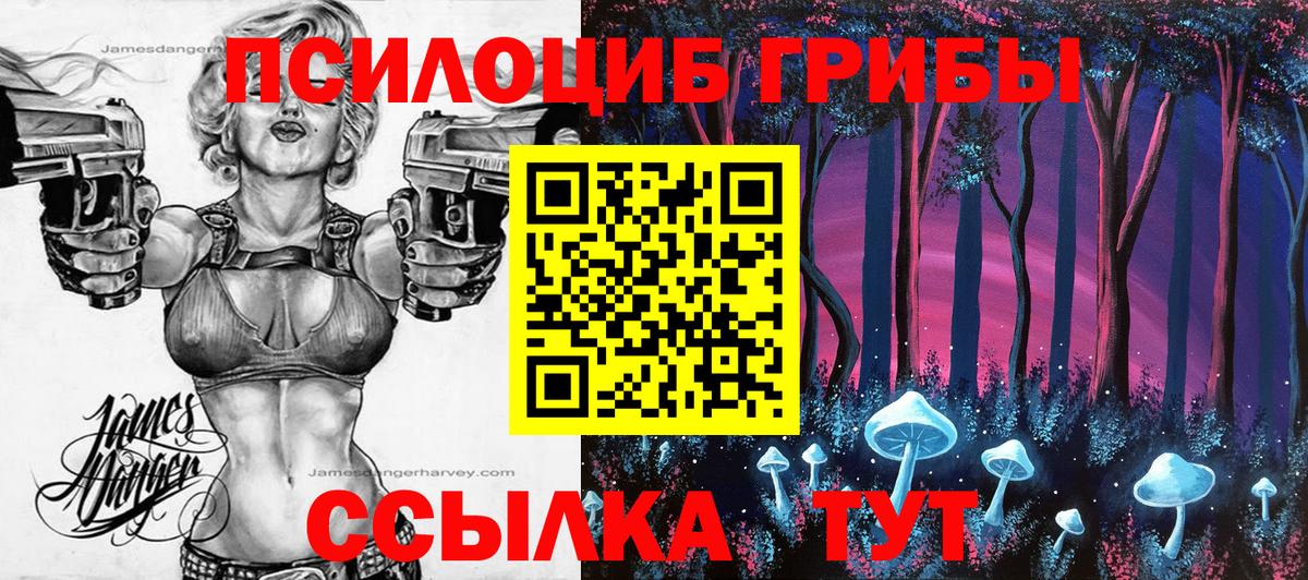 Галлюциногенные грибы мухоморы  Вход с VPN  Псилоцибиновые грибы мухоморы  Губкин 